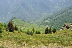 High Alpine Pastures and Winding Tracks Above a Forested Mountain Valley