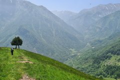 Hiker on an Alpine Pasture Path Above a Deep Mountain Valley