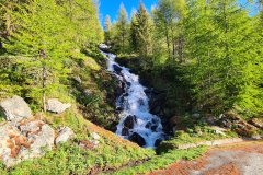 Alpine Forest Waterfall near Cogne Valley, Aosta Valley