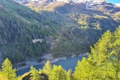 Hydroelectric Reservoir and Larch Forest Slopes in Val d'Ayas, Aosta Valley