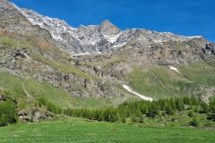 Alpine Slopes and Rocky Ridges in Valnontey Valley below the Gran Paradiso Massif