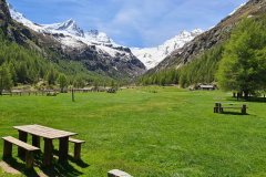 Picnic Meadow in Valnontey Valley Facing the Gran Paradiso Glacier Basin