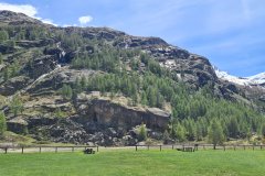 Waterfalls and Larch Forest on Valnontey Valley Slopes below Gran Paradiso