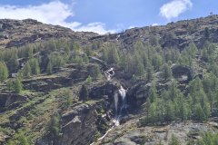 Tiered Waterfall on Larch-Covered Slopes above Valnontey Valley, Gran Paradiso
