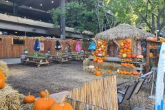 Autumn Pumpkin Patio Display, Downtown Chicago