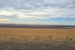 Autumn Farmland Panorama on the Yakima Valley Plateau near Benton City, Washington