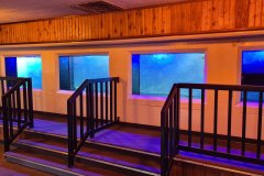 Fish Ladder Viewing Gallery at Bonneville Dam, Columbia River