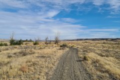 Shrub-Steppe Track on the Columbia Plateau