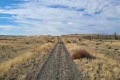 Sagebrush Track on the Columbia Plateau near Paterson, Washington