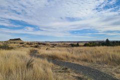 Shrub-Steppe Trail near Hat Rock State Park, Umatilla County, Oregon