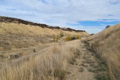 Hiking Trail through Basalt Hills at Hat Rock State Park, Oregon