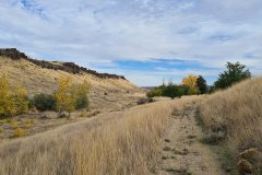 Autumn Trail through Basalt Slopes at Hat Rock State Park, Oregon