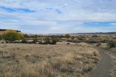 Open Shrub-Steppe Trail Landscape at Hat Rock State Park, Oregon