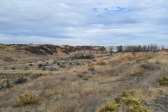 Shrub-Steppe Draws near Hat Rock State Park, Columbia Plateau, Oregon