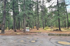 Forest Trailhead After Rain, South-Central Washington