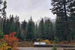 Autumn Forest Overlook with Spires near Mount Rainier, Washington