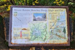 Mount Rainier Interpretive Sign near the Clear Fork of the Cowlitz River, Southern Cascade Range, Washington