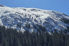 Early Snow on Front Range Alpine Slopes, Colorado — High-Elevation Mountain Landscape
