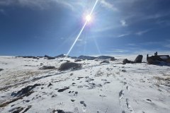 High Alpine Tundra under Winter Sun at Independence Pass, Colorado