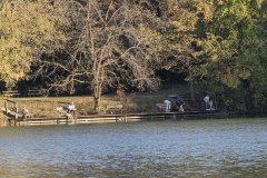 Autumn Riverside Pause — Community Gathering Along a Wooded Waterway
