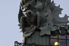 Art Nouveau Gargoyle Detail on Historic Chicago Department Store