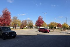 Autumn Color in Suburban Parking Lot, Bolingbrook, Illinois