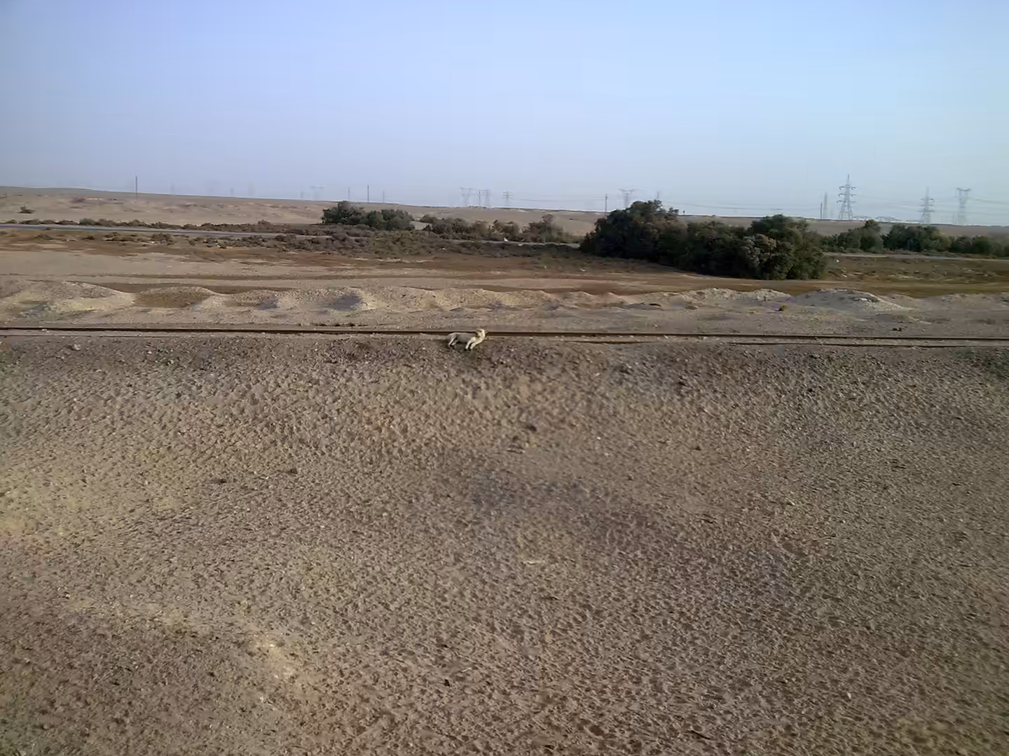 Single railway track crossing sandy desert terrain with sparse vegetation and distant power lines.