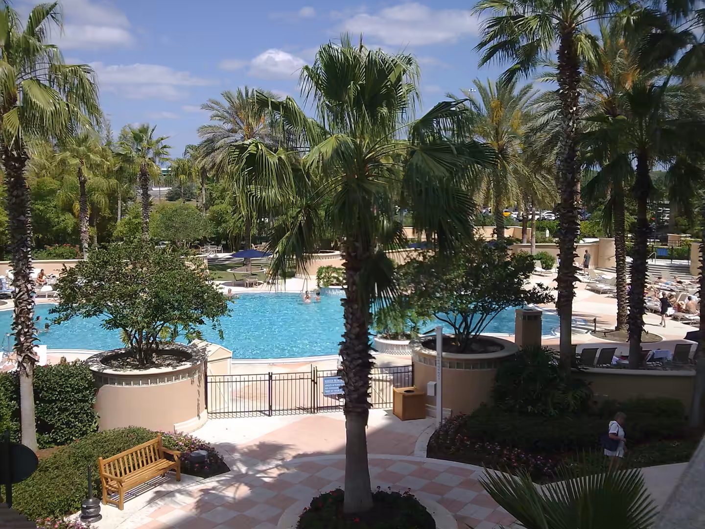 Outdoor resort pool at Gaylord Palms near Orlando, surrounded by tall palm trees and sun loungers.