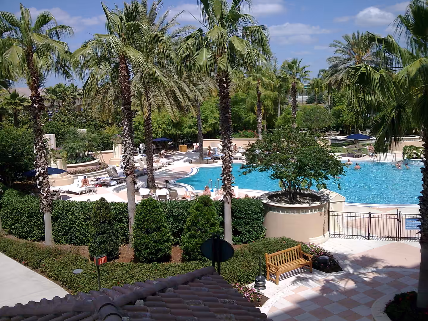 Large outdoor pool at Gaylord Palms near Orlando, surrounded by palm trees, lounge chairs, and landscaped gardens.