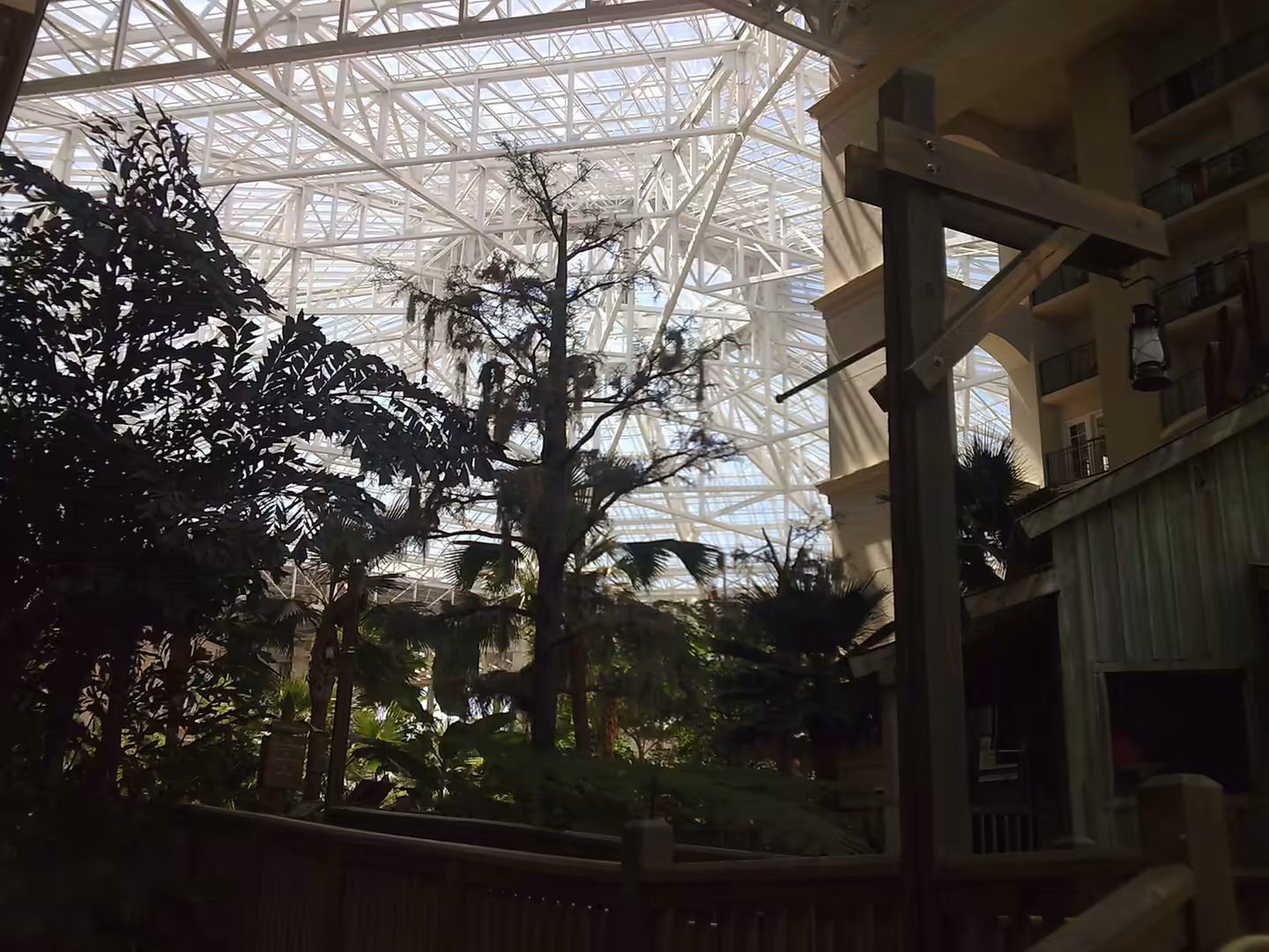 Glass-roofed atrium at Gaylord Palms near Orlando with tall tropical trees and wooden railings.