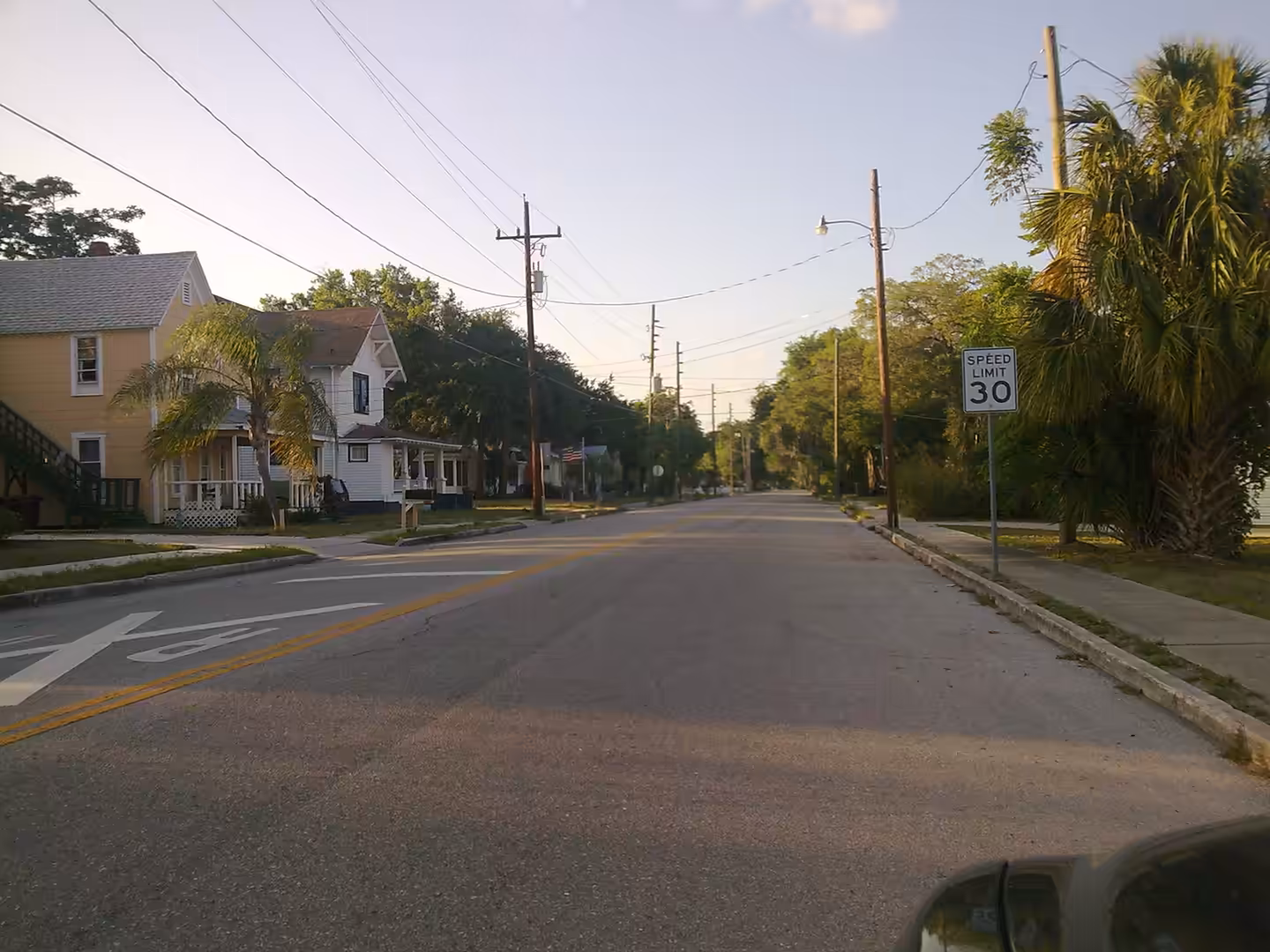 Residential street lined with palm trees and small houses in a Florida neighborhood.