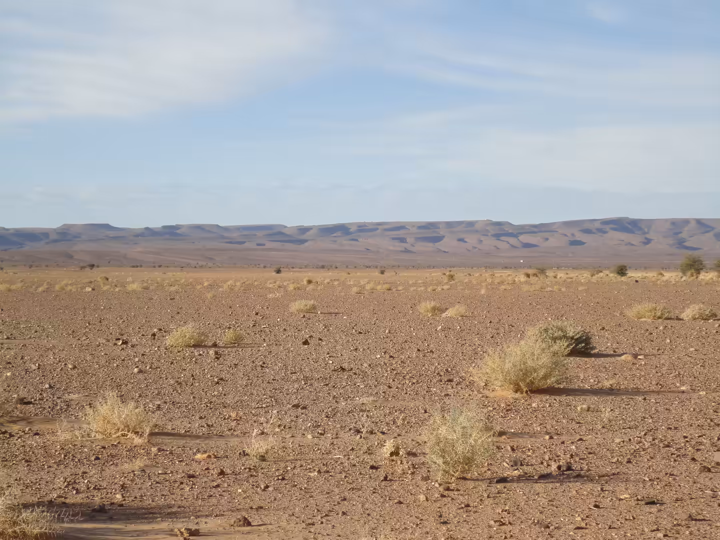 Rocky desert plain with sparse shrubs and a long escarpment under a pale blue sky.