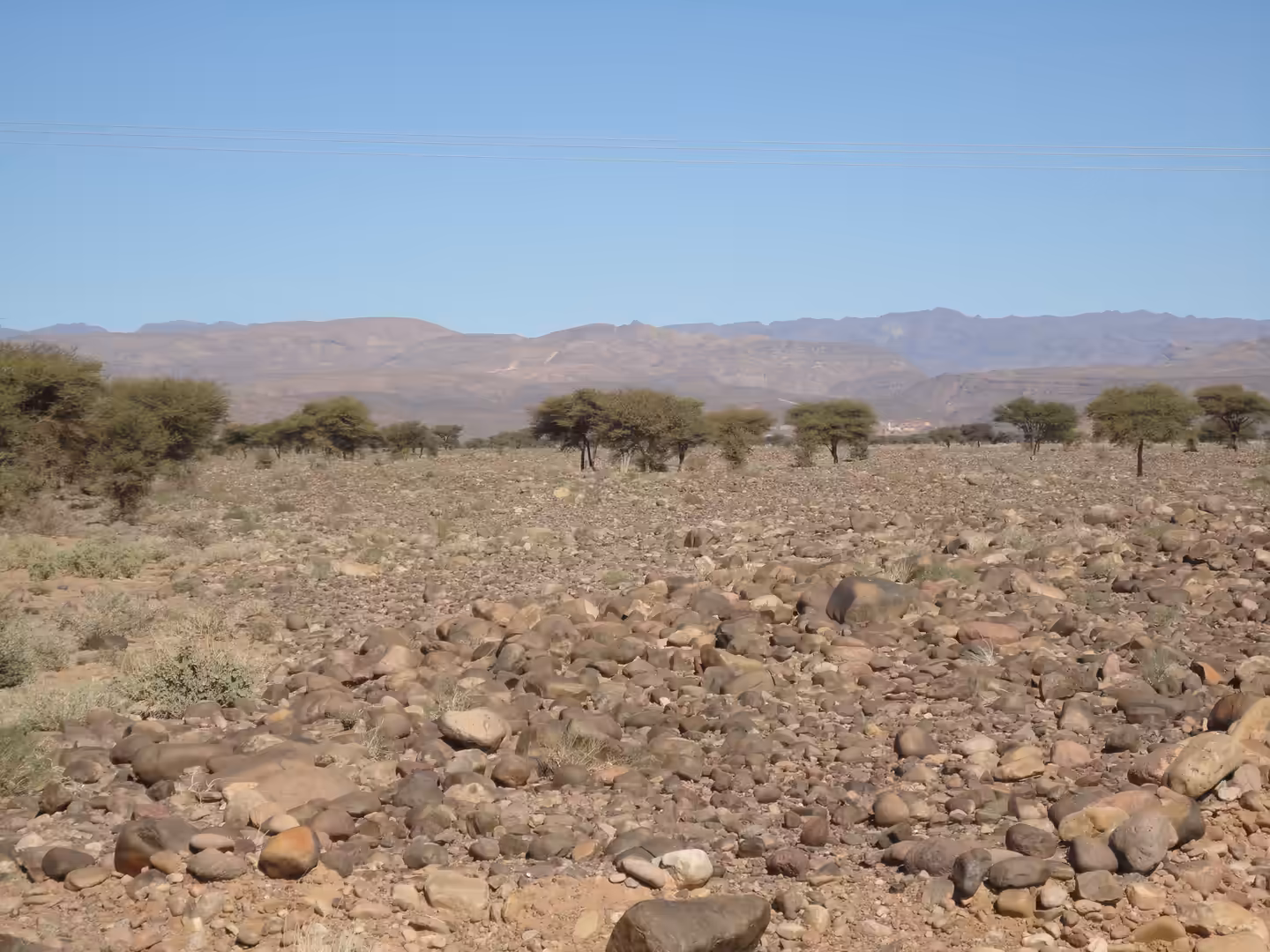 Rocky desert plain with scattered acacia trees and distant mountains.
