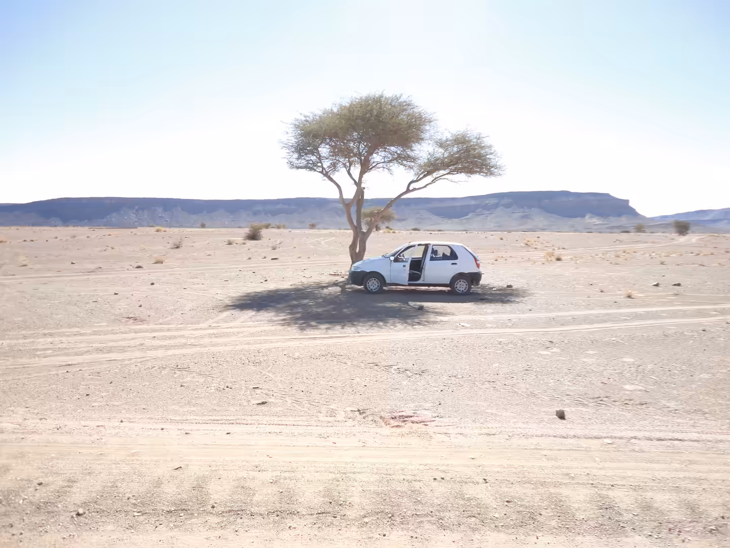 Small car parked under a lone acacia tree in a vast desert plain.