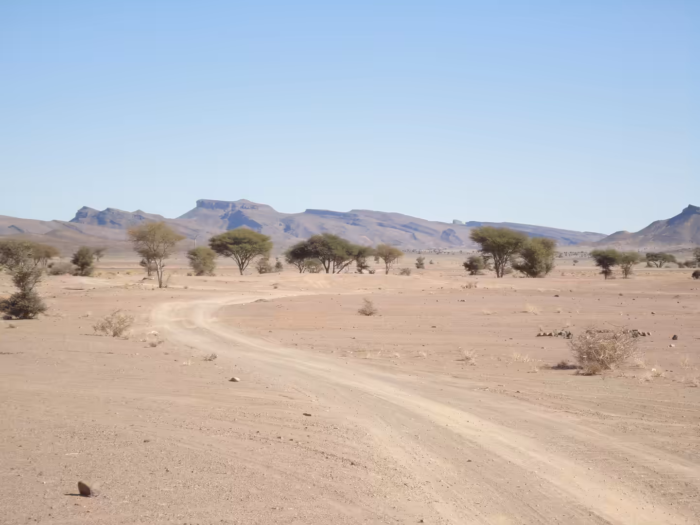 Dusty track crossing a flat desert plain with scattered acacia trees and distant plateaus.