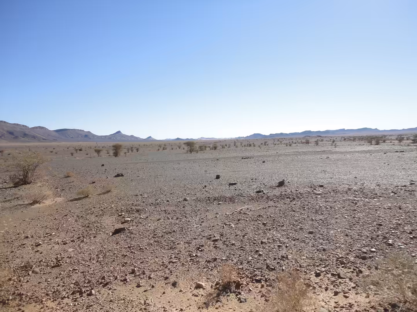 Wide rocky desert plain with scattered shrubs and distant low mountains under a clear sky.