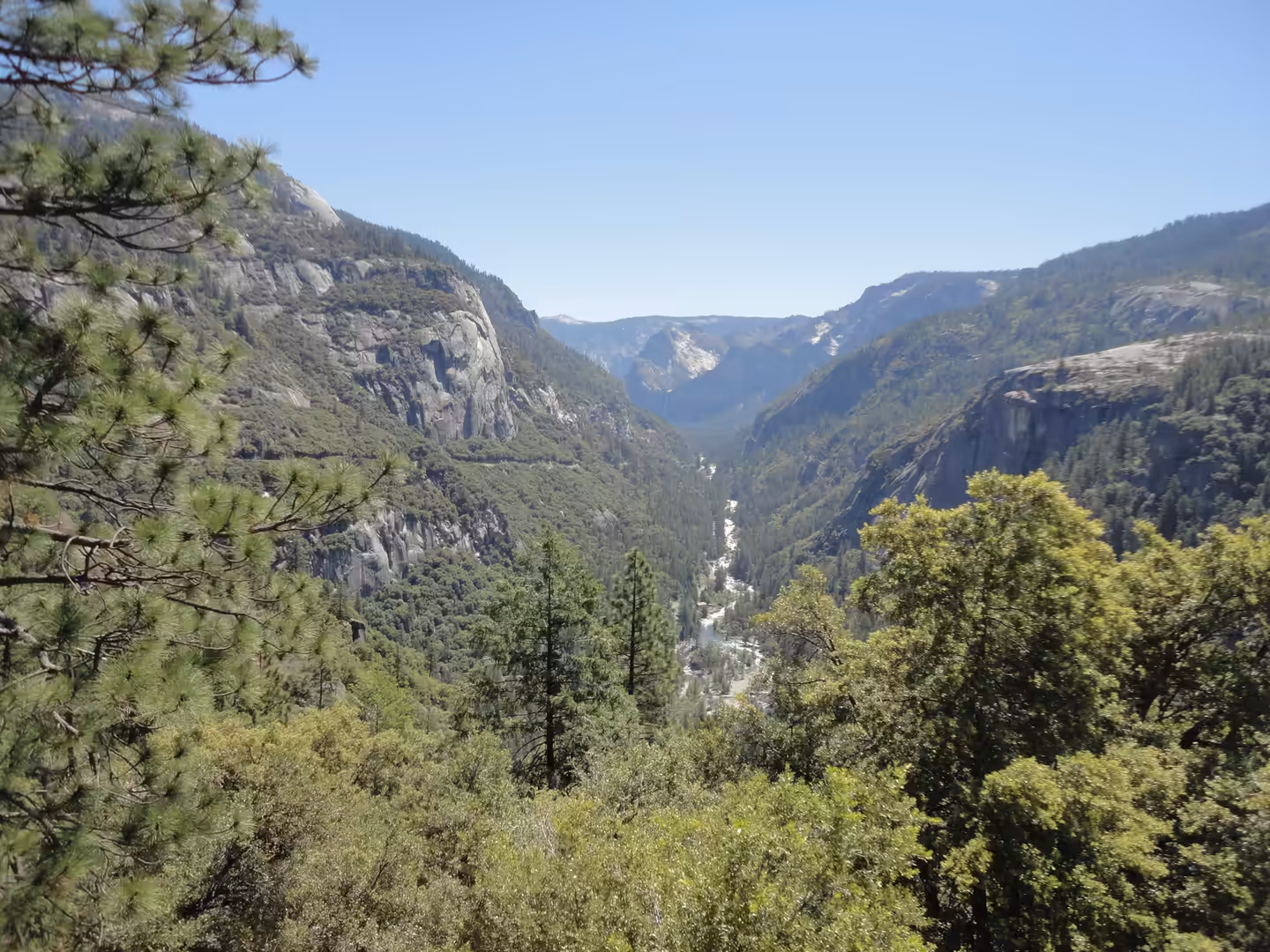 View across a deep granite valley with pine forest and a river below, steep cliffs rising on both sides under clear summer light.
