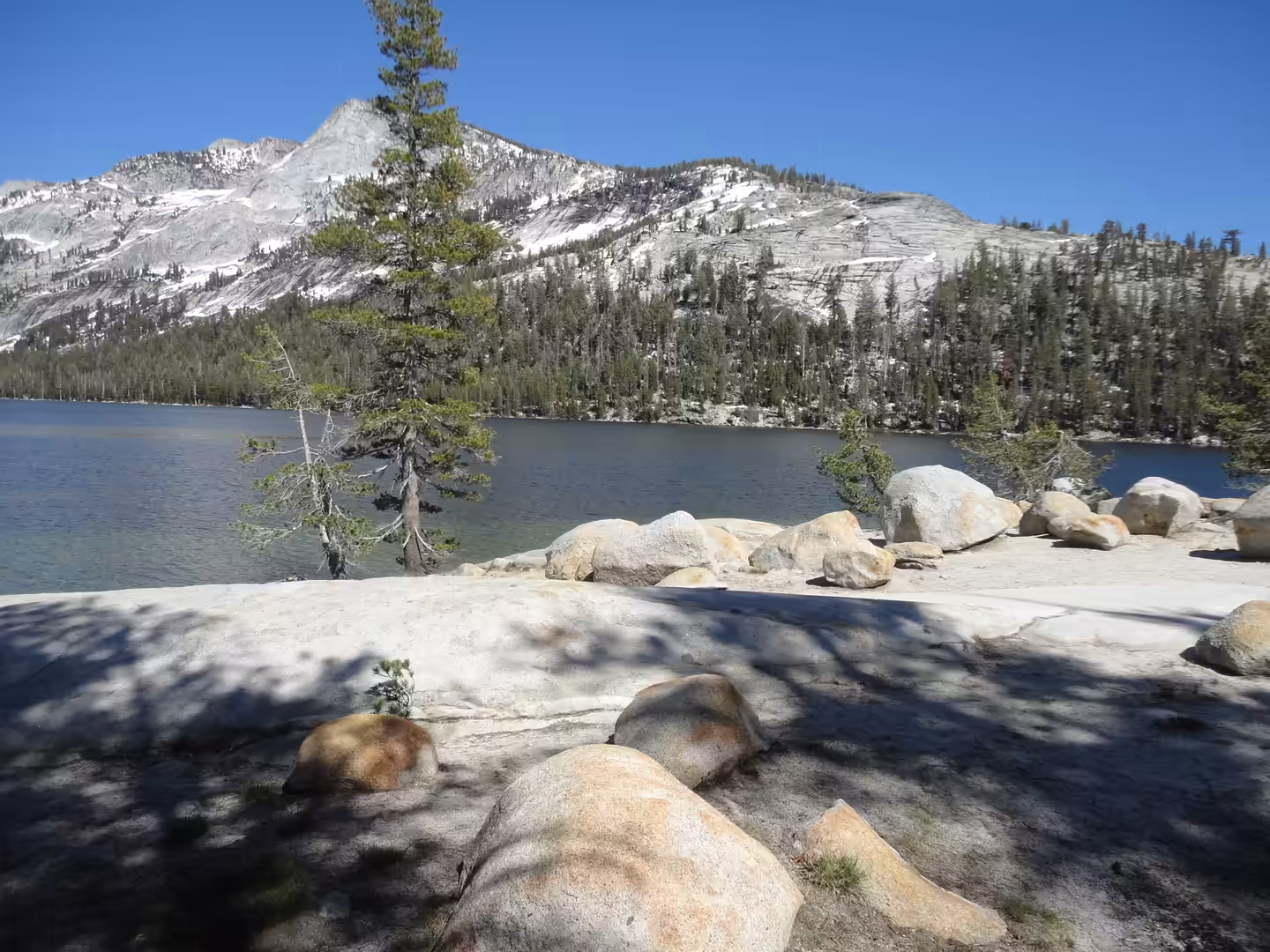 Granite shoreline with alpine lake, pine trees, and snow-dusted peaks