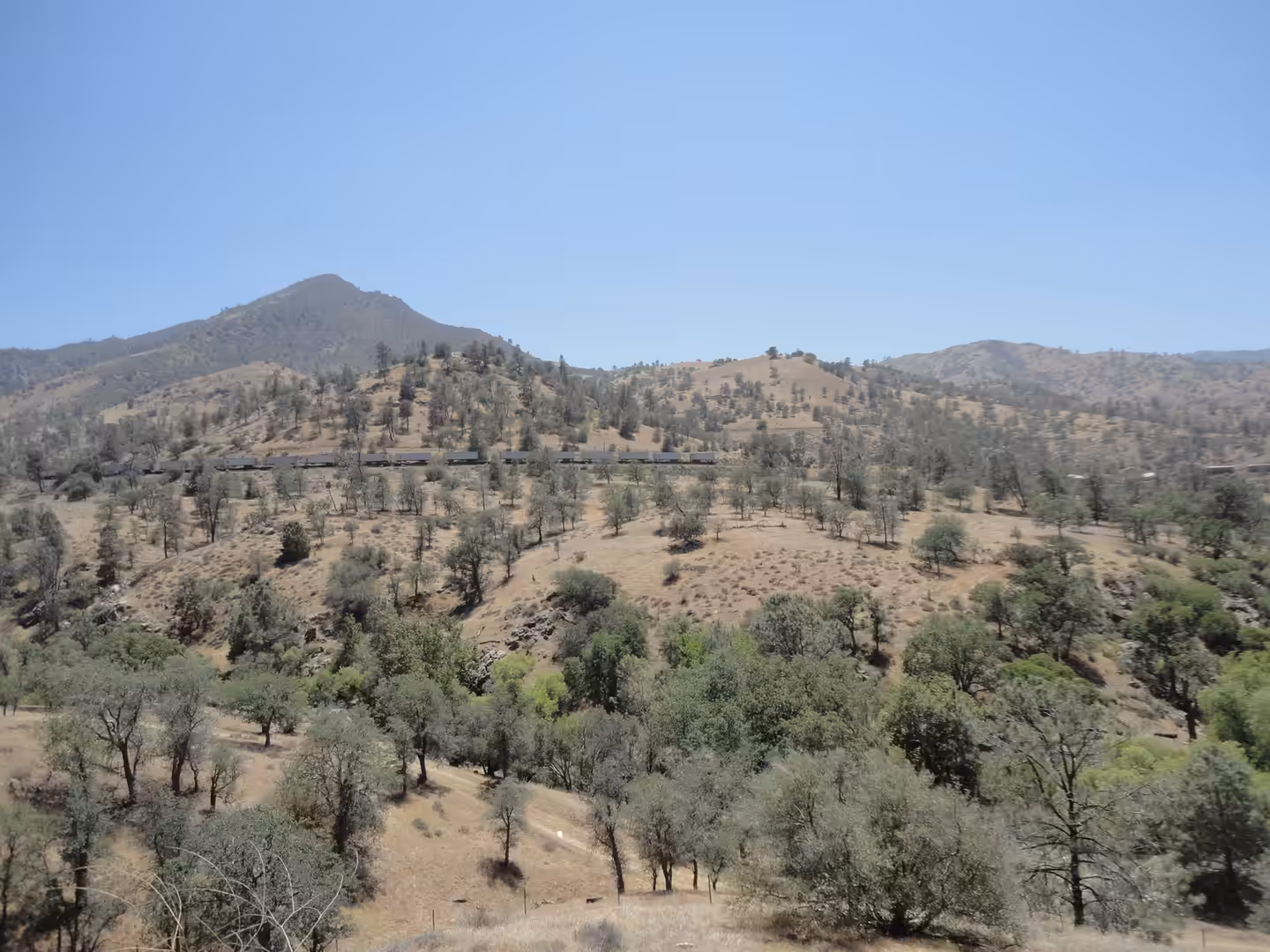 Dry oak-dotted hills with a freight train crossing the slope