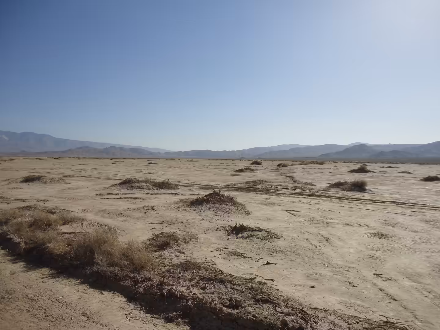 Dry desert playa with scattered shrubs and distant mountain ranges
