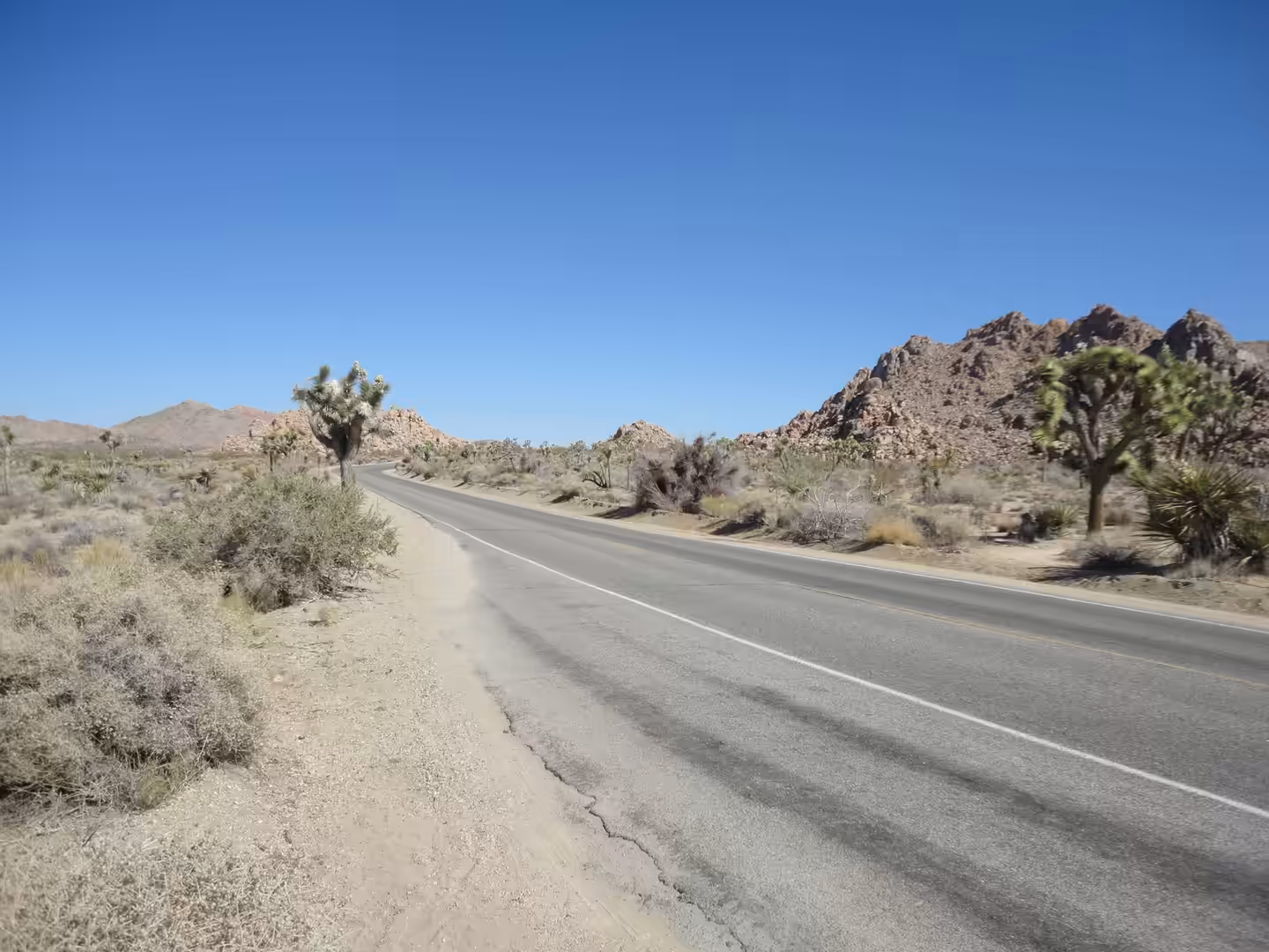 Desert highway lined with Joshua trees and rocky hills