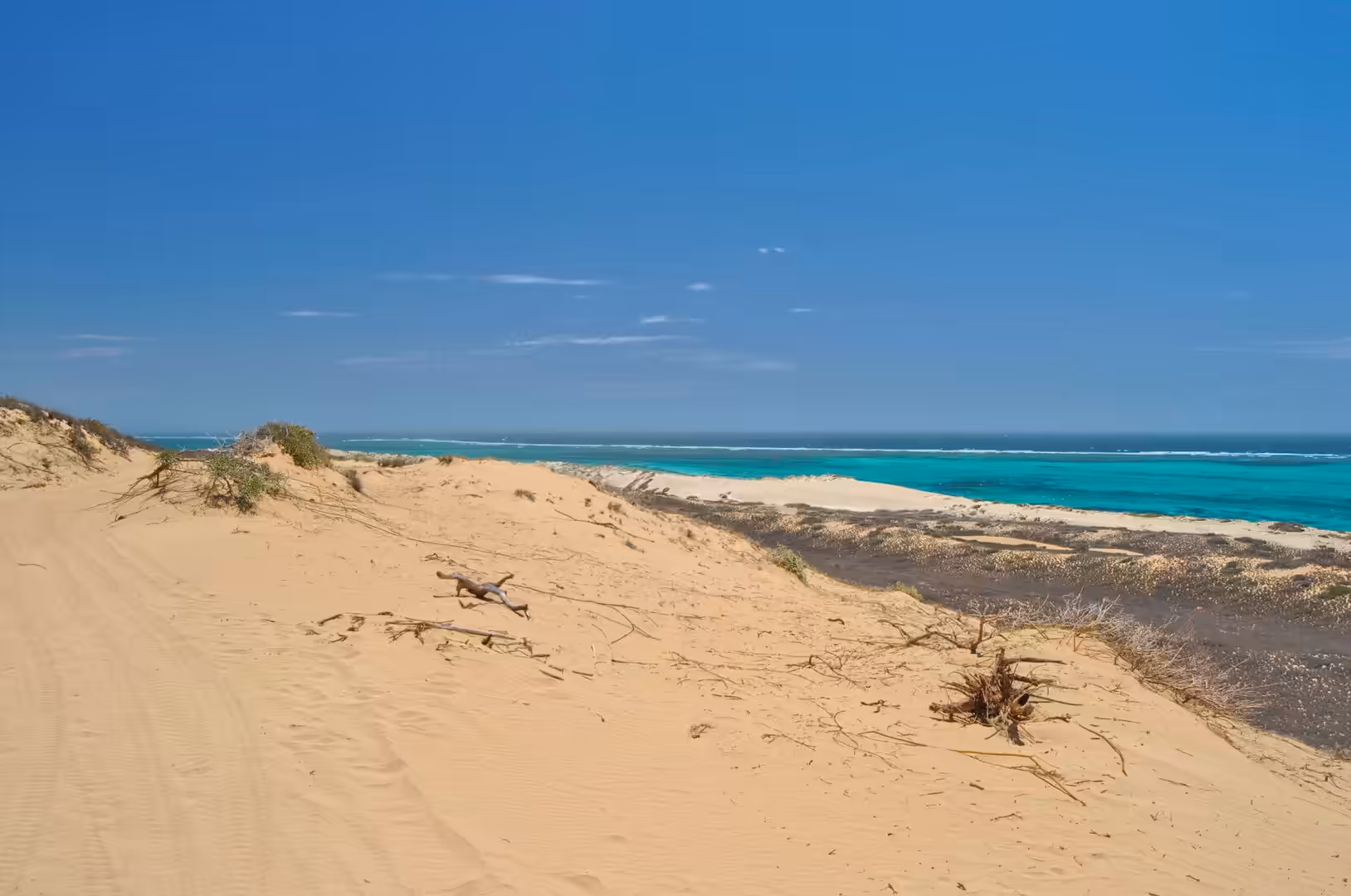 Tire tracks wind across pale sand dunes toward a turquoise ocean.