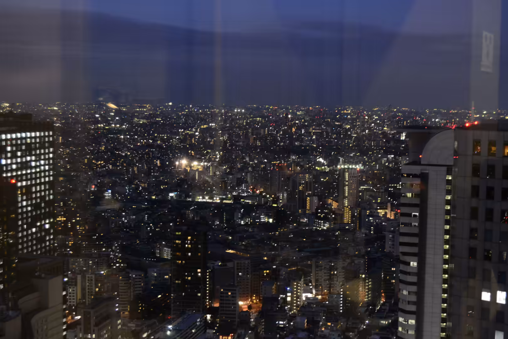 Thousands of city lights twinkle across Tokyo's sprawling skyline, seen from a high observation window at night.