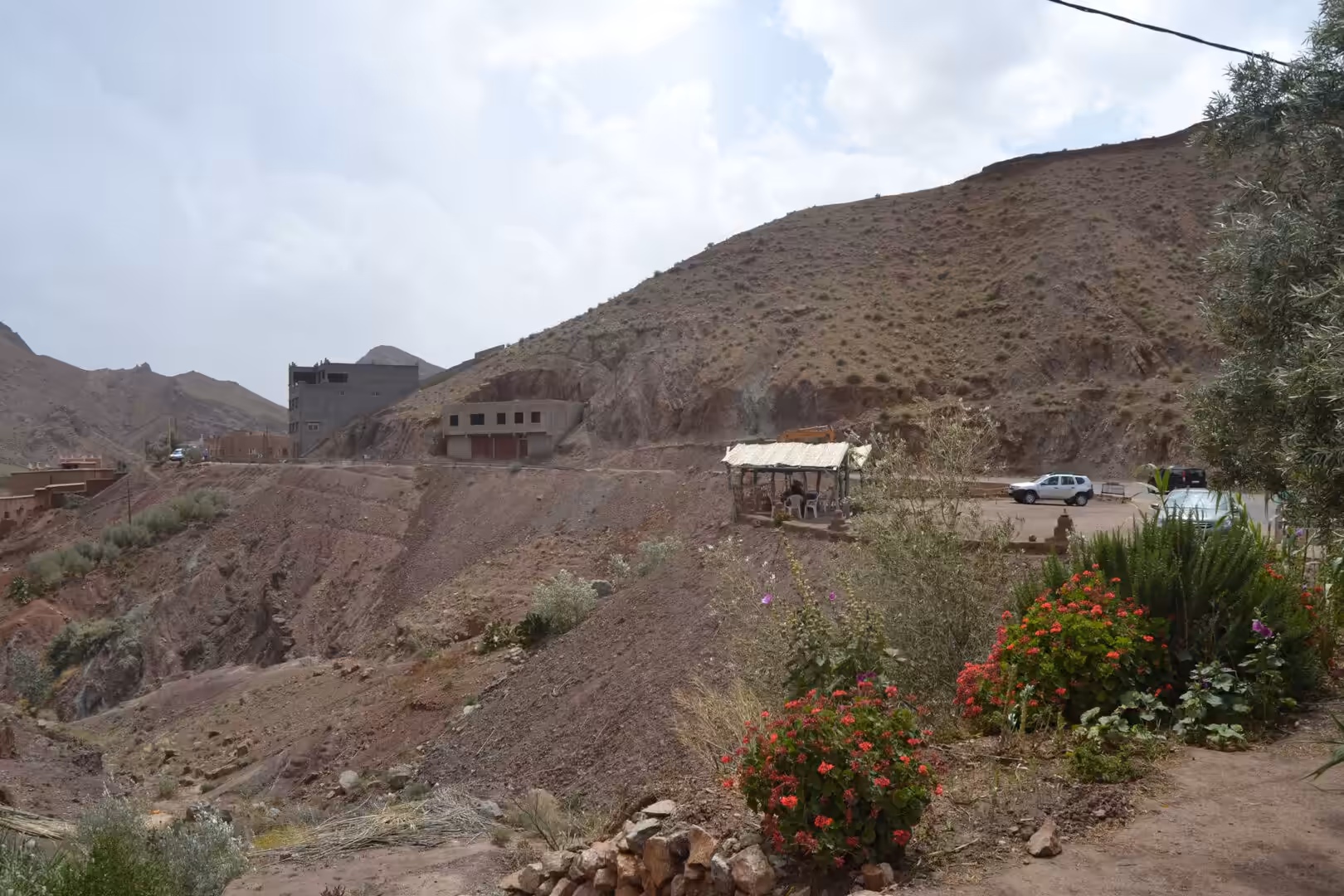 Mountain roadside viewpoint with flowers in Atlas Mountains