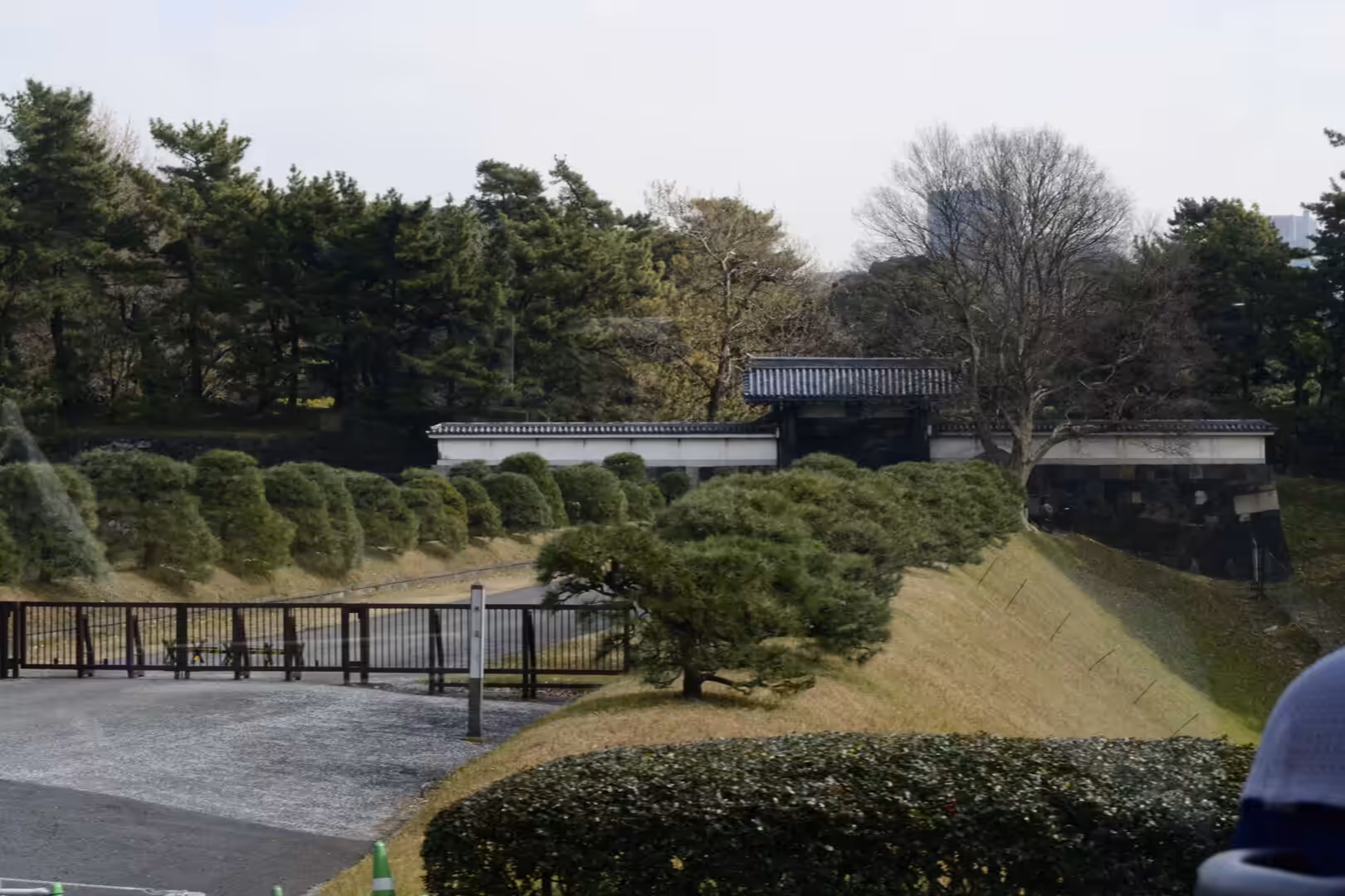 A Japanese palace gatehouse with white walls and a dark roof stands beyond a grassy moat bank lined with pines.