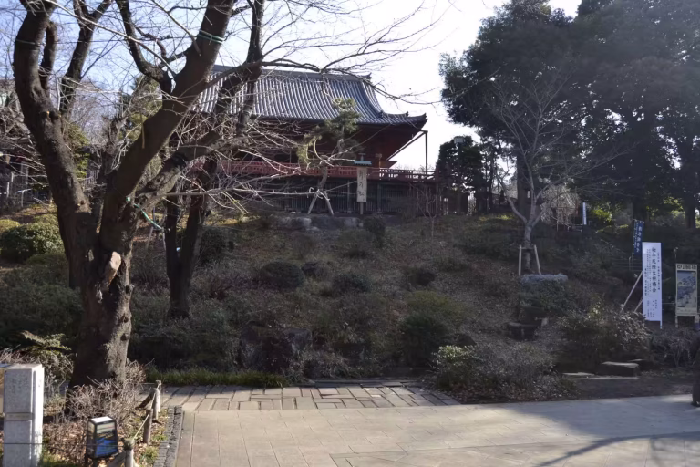 A grand temple with a dark tiled roof stands on a wooded hill above a paved stone path in Tokyo.