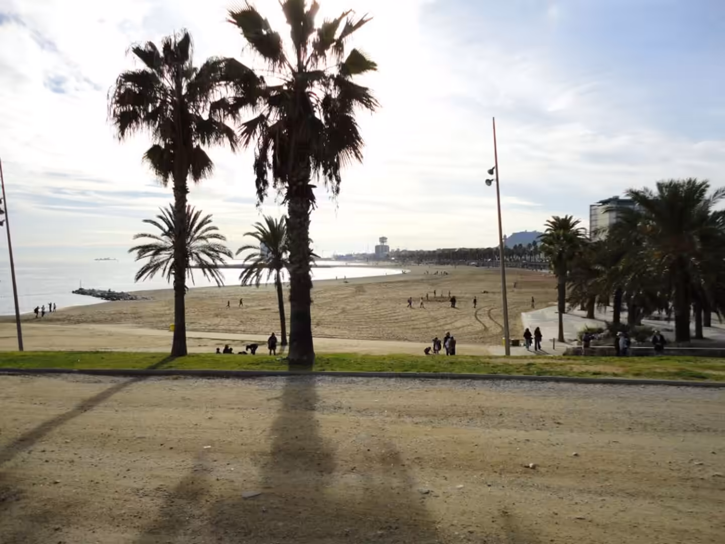 Palm trees casting long shadows over a sandy beach promenade with people walking along Barceloneta Beach in Barcelona.