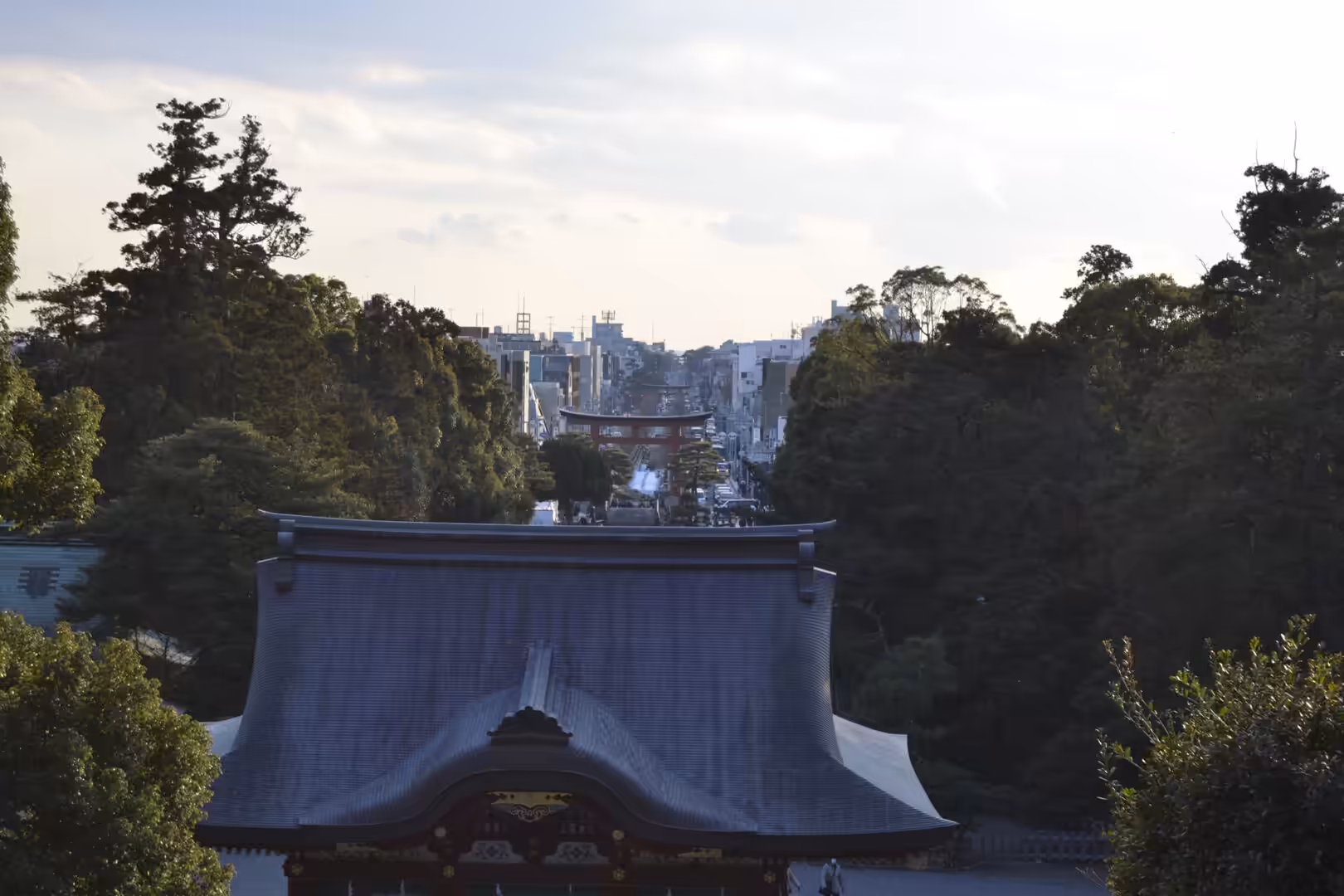 Looking down from a temple, a sweeping view shows tiled rooftops, dark pines and a distant street with a red torii gate.
