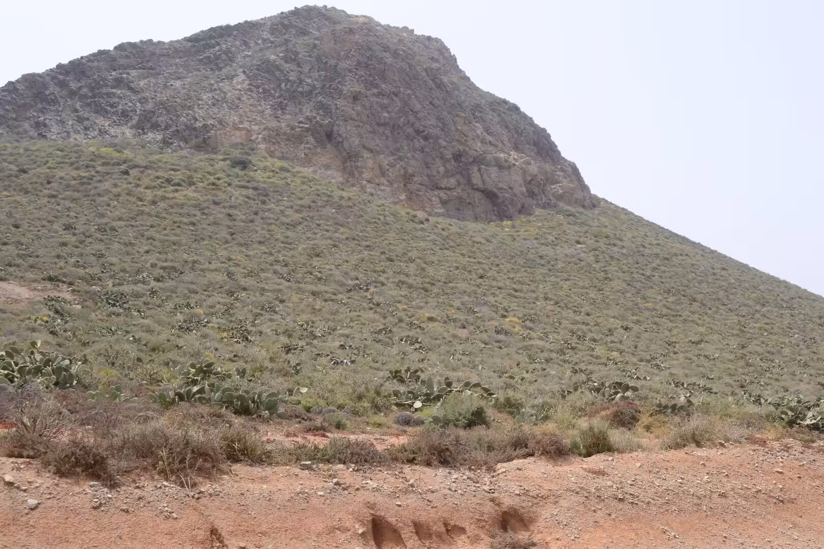 Rocky hill and cactus-covered slope south of Sidi Ifni, Morocco