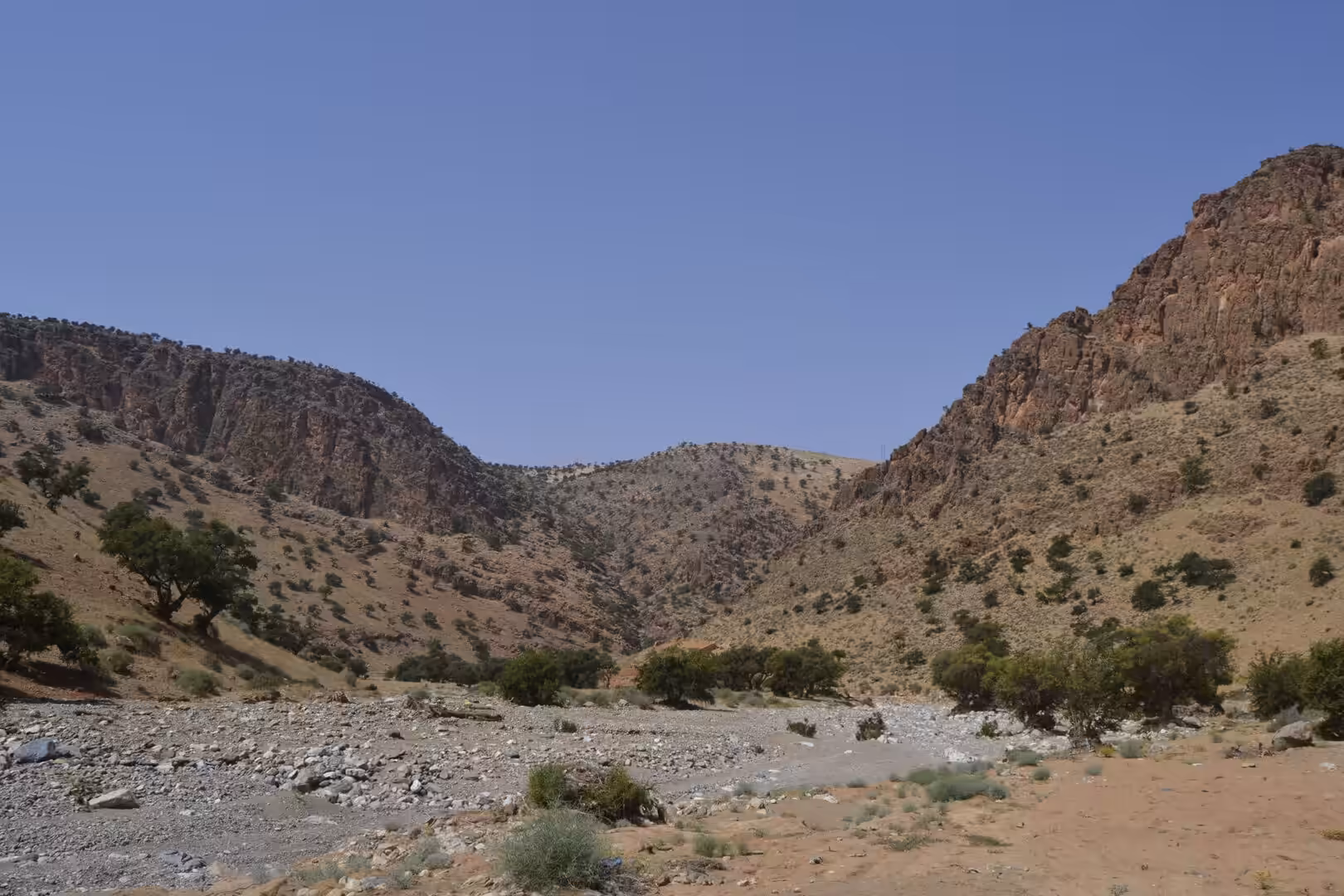 Rocky canyon landscape with dry riverbed and scattered trees in Morocco